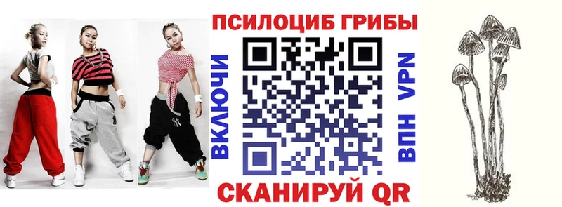 OMG как найти Лодейное Поле Псилоцибиновые грибы Cubensis
