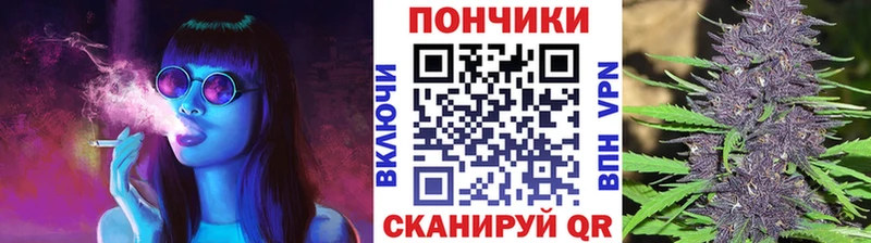 где купить   Лодейное Поле  Марихуана индика 